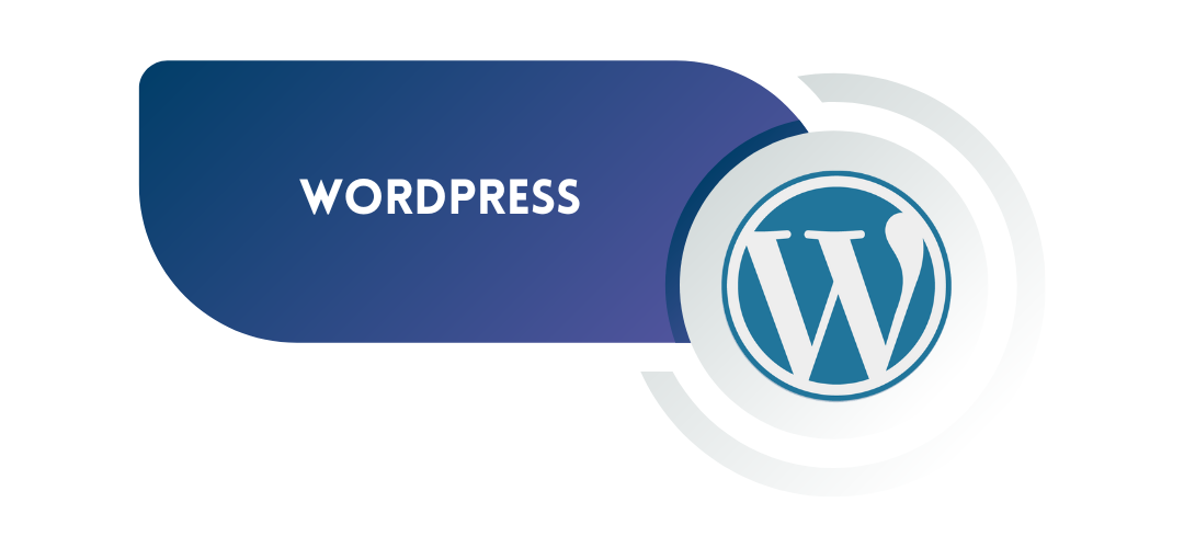 Wordpress Website Design Company in Rajkot